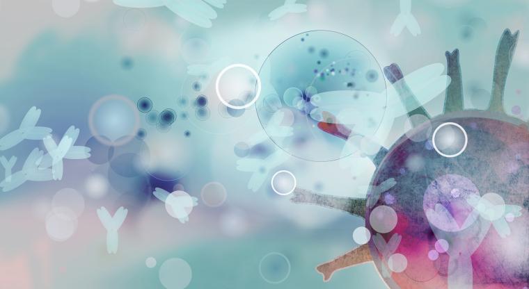 Multiples Myelom: reaktivierte Immuntherapie