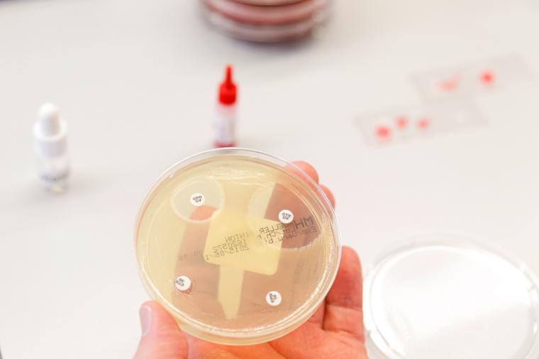 Mikrobiologischer Test auf Antibiotikaresistenzen: Neue S3-Leitlinie für die...