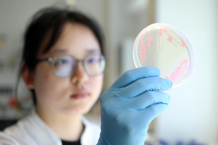 Im Rahmen von AMR-PLAS soll die Ausbildung von Antibiotikaresistenzen speziell...