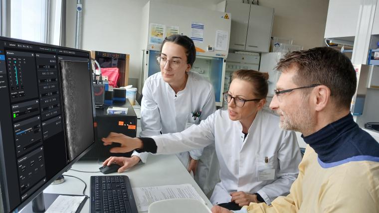 Tinatini Tchatchiashvili, Oliwia Makarewicz und Mathias Pletz (v.l.)...