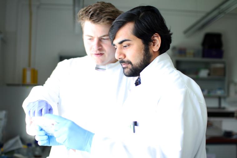 Dr. Florian Buchholz (hinten), Dr. Surajit Pal und die weiteren Koautorinnen...