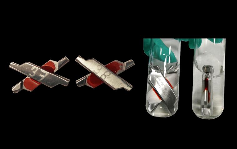 (a) koaguliertes Blut in den Gelenken von Kornzangen, (b) Löslichkeitsversuch...