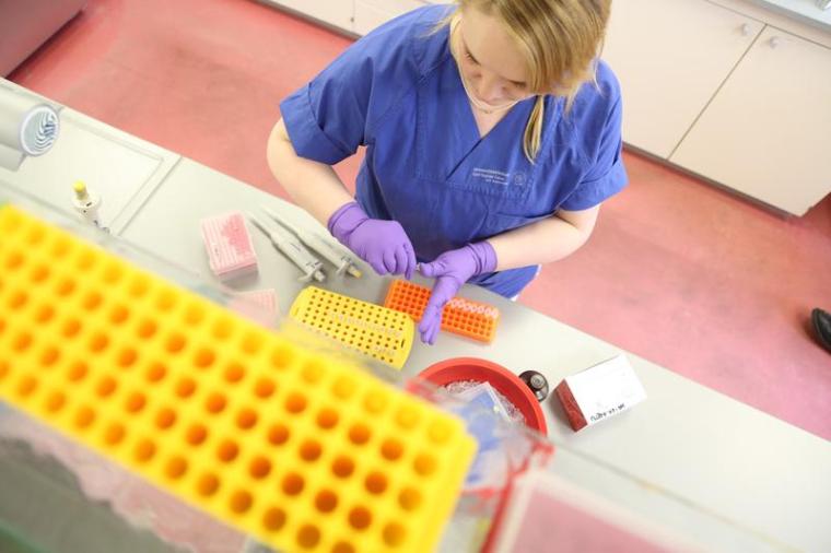 BioBank Dresden, DNA-Isolation aus Gewebeprobe.