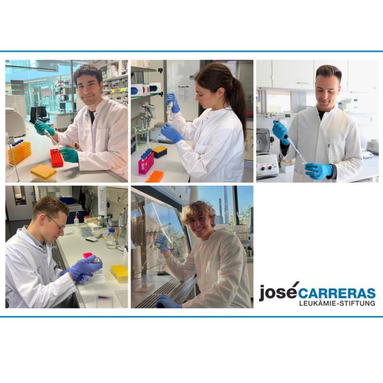 Neue Vergabe der José Carrears-Promotionsstipendien