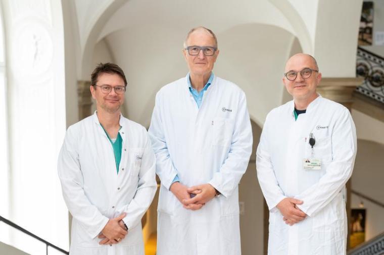 Prof. Dr. Henryk Dreger, Prof. Dr. Volkmar Falk und PD Dr. Axel Unbehaun...