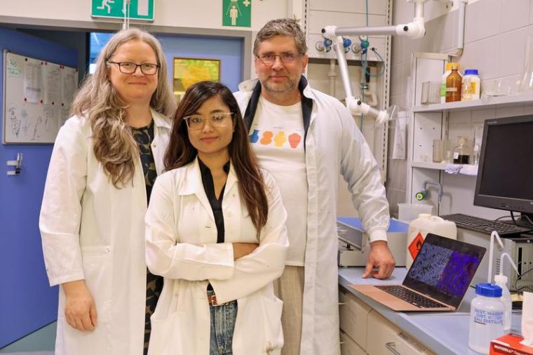 Dr. Dana Cialla-May, Aradhana Dwivedi und Dr. Vladimir Sivakov (v.l.)...