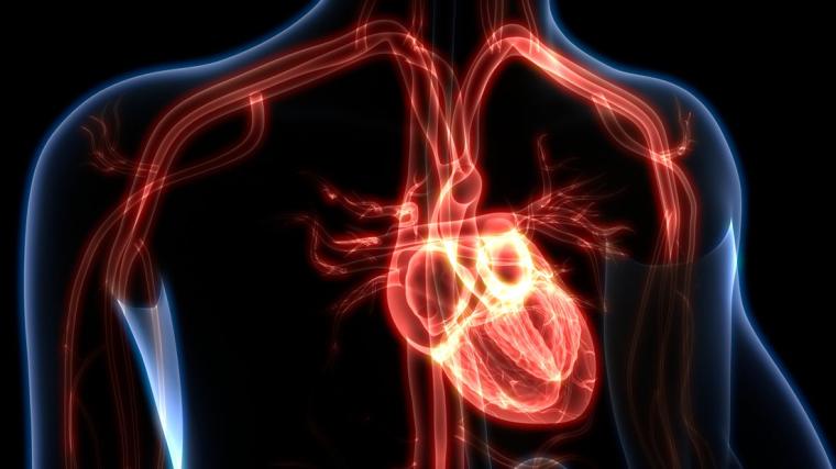 Gezieltere Herzdiagnostik durch KI