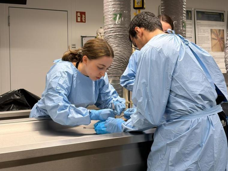 Zu den praktischen Aufgaben gehörte auch eine nervenchirurgische Übung
