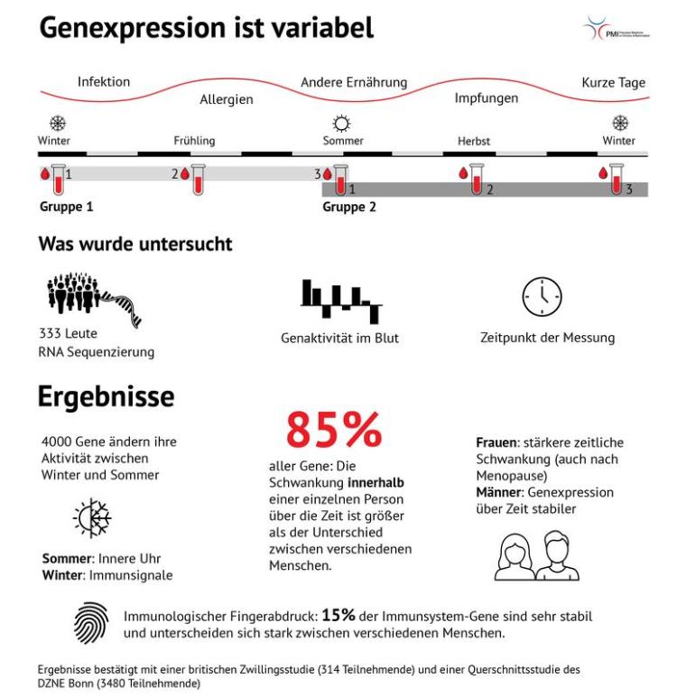 Zusammenfassung der Studienergebnisse zur Genaktivität