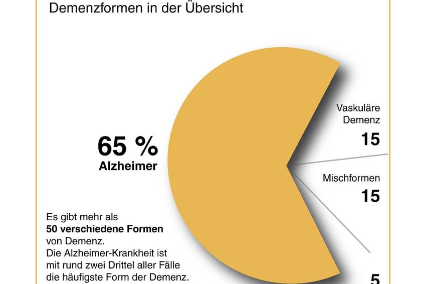 Alzheimer Forschung Initiative Schreibt Fördermittel Aus | Management ...